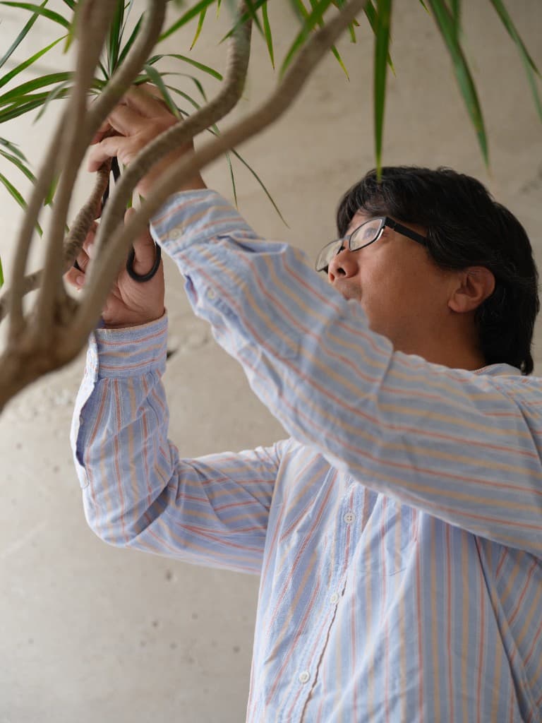 植物の枝をハサミで剪定している様子